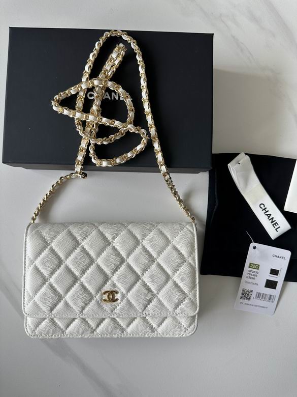 Chanel Classic Wallet on Chain Crossbody Bag in White Quilted Leather