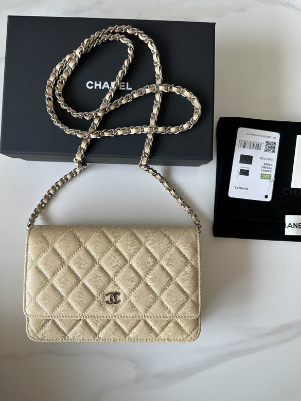 Chanel Classic Wallet on Chain WOC Quilted Crossbody Bag in Beige Grained Leather